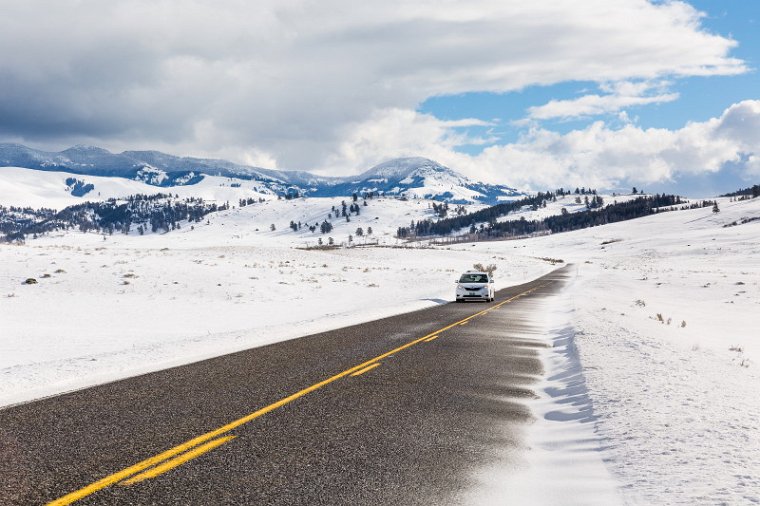 39 Yellowstone NP.jpg